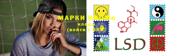 стафф Зеленокумск