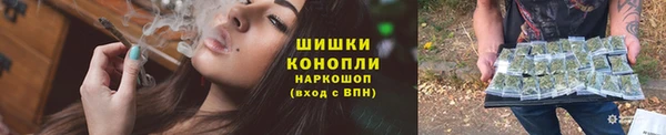 стафф Зеленокумск