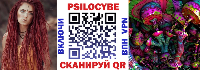 Купить где  Заполярный  Галлюциногенные грибы мицелий 